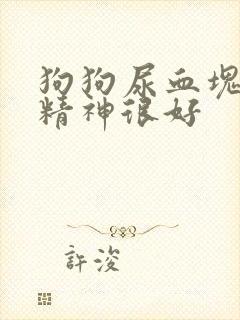 狗狗尿血块但是精神很好