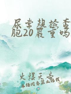 尿常规检查红细胞20严重吗