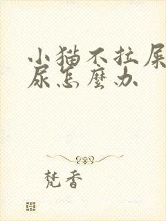 小猫不拉屎不拉尿怎么办