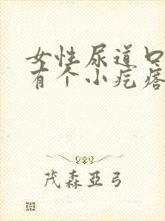 女性尿道口下面有个小疙瘩