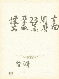 怀孕23周有点出血怎么回事