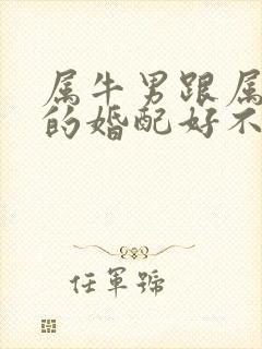 属牛男跟属兔女的婚配好不好