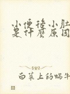 小便后小肚子疼是什么原因