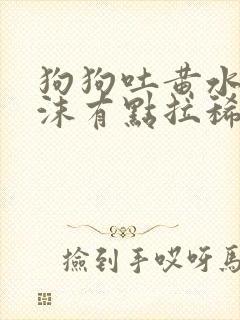 狗狗吐黄水带泡沫有点拉稀怎么办