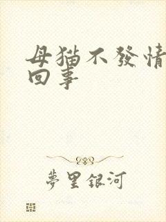 母猫不发情怎么回事