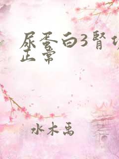 尿蛋白3肾功能正常