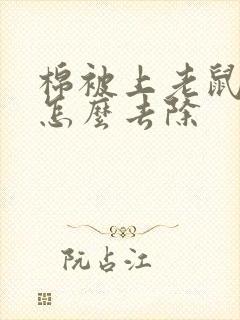 棉被上老鼠尿味怎么去除