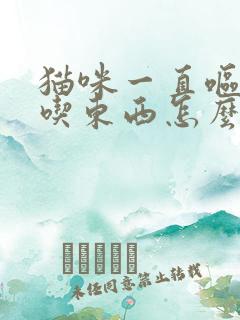 猫咪一直呕吐不吃东西怎么办