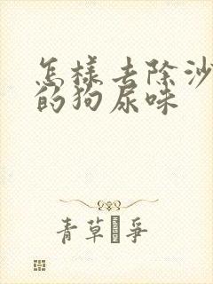 怎样去除沙发上的狗尿味