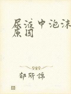 尿液中泡沫多的原因