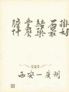 胆囊结石排石有什么药最好