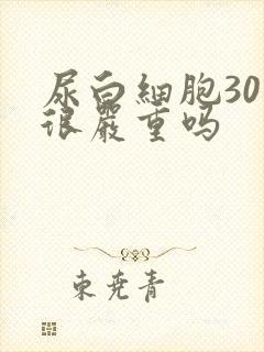 尿白细胞30是很严重吗