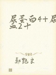 尿蛋白4+尿潜血2十