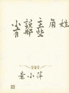 小说主角姓苏的有哪些