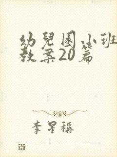 幼儿园小班安全教案20篇