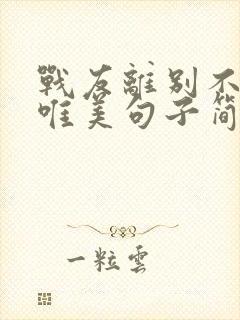 战友离别不舍的唯美句子简短