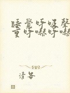 睡觉呼吸声音粗重呼哧呼哧的