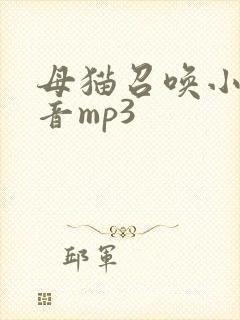 母猫召唤小猫声音mp3