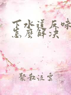 下水道反味严重怎么解决