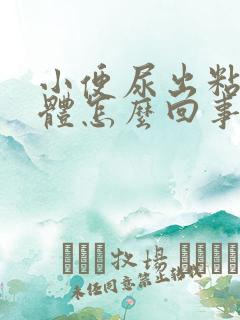 小便尿出粘稠液体怎么回事