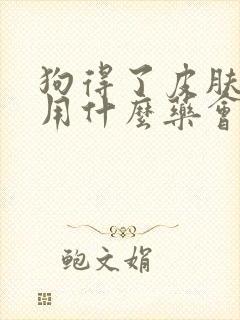 狗得了皮肤病 用什么药会比较好