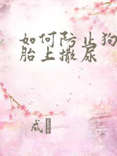 如何防止狗在车胎上撒尿