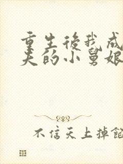 重生后我成了前夫的小舅娘有姝