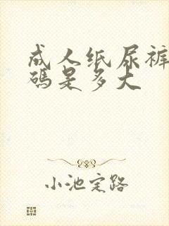 成人纸尿裤最大码是多大