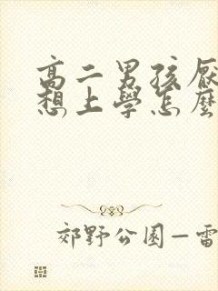 高二男孩厌学不想上学怎么办