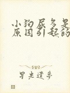 小狗尿多是什么原因引起的