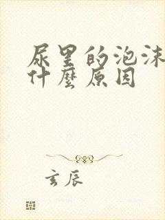 尿里的泡沫多是什么原因