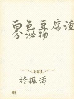 白色豆腐渣无味分泌物