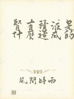 肾有积液是由于什么造成的