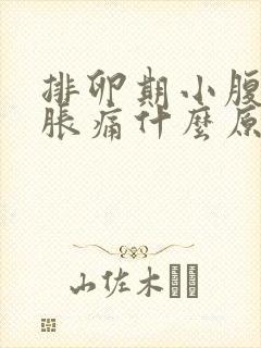 排卵期小腹两侧胀痛什么原因