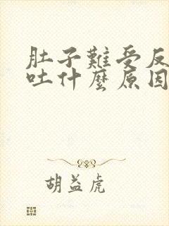 肚子难受反胃想吐什么原因