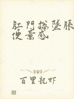 肛门总坠胀总有便意感