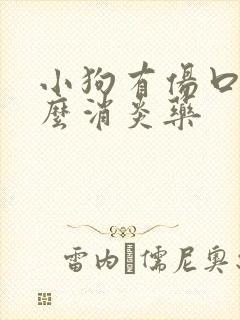 小狗有伤口用什么消炎药