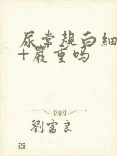 尿常规白细胞3+严重吗