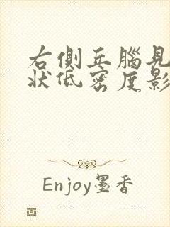 右侧丘脑见斑点状低密度影