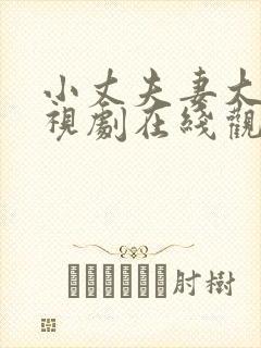 小丈夫妻大姐电视剧在线观看免费全集