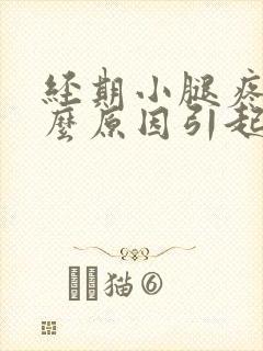 经期小腿疼是什么原因引起的