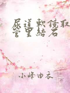 尿道软镜取输尿管里结石