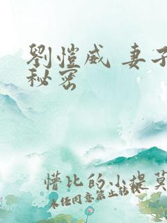 刘恺威 妻子的秘密