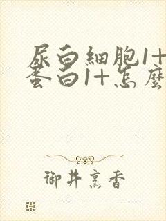 尿白细胞1+尿蛋白1+怎么回事