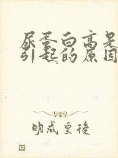 尿蛋白高是怎么引起的原因是什么