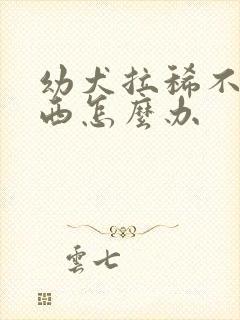 幼犬拉稀不吃东西怎么办