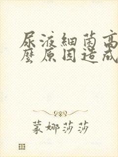 尿液细菌高是什么原因造成的