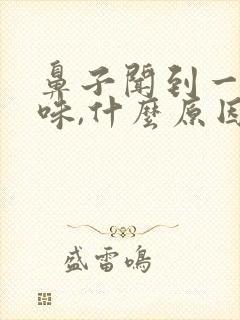 鼻子闻到一股怪味,什么原因引起