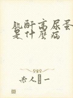 肌酐高尿蛋白高是什么病