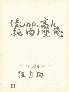 (乱np,高h,纯肉)双飞